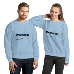 unisex-crew-neck-sweatshirt-light-blue-front-6a91d2f93d601.jpg