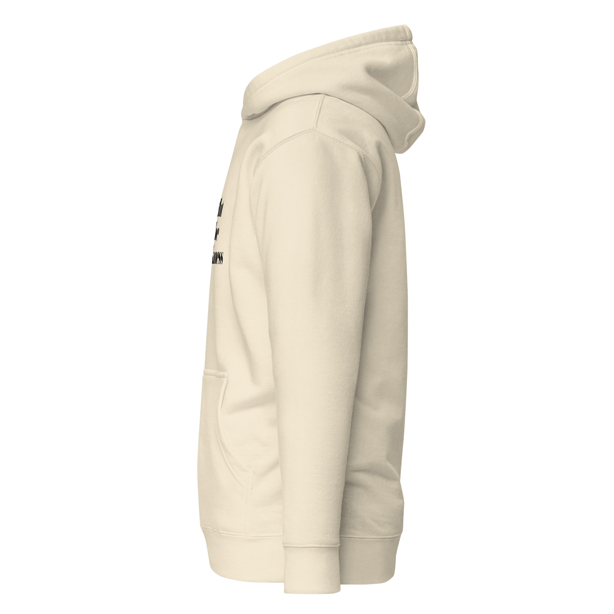Light in the Darkness Premium Christian Hoodie | Daylight Edition - Image 11