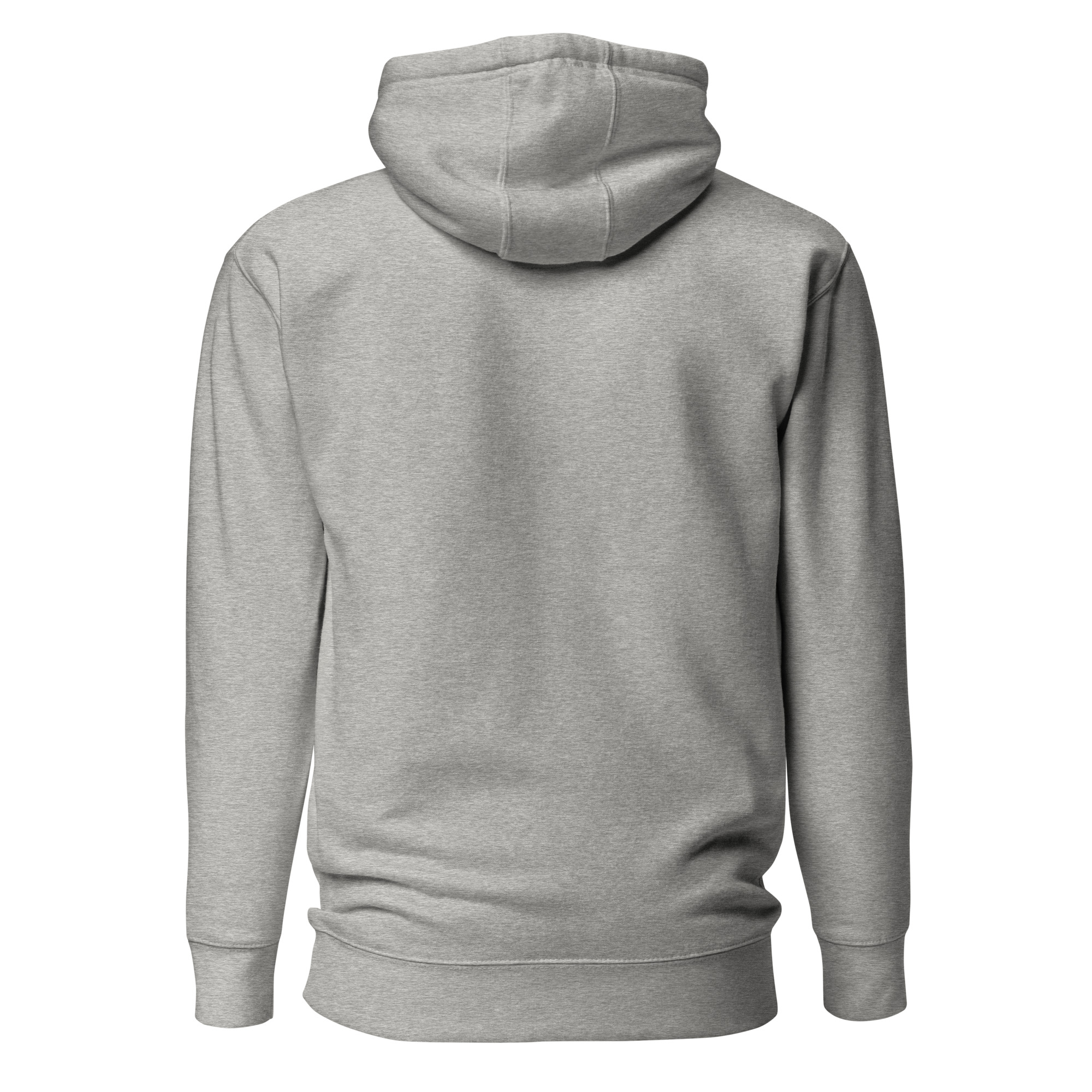 Light in the Darkness Premium Christian Hoodie | Daylight Edition - Image 5