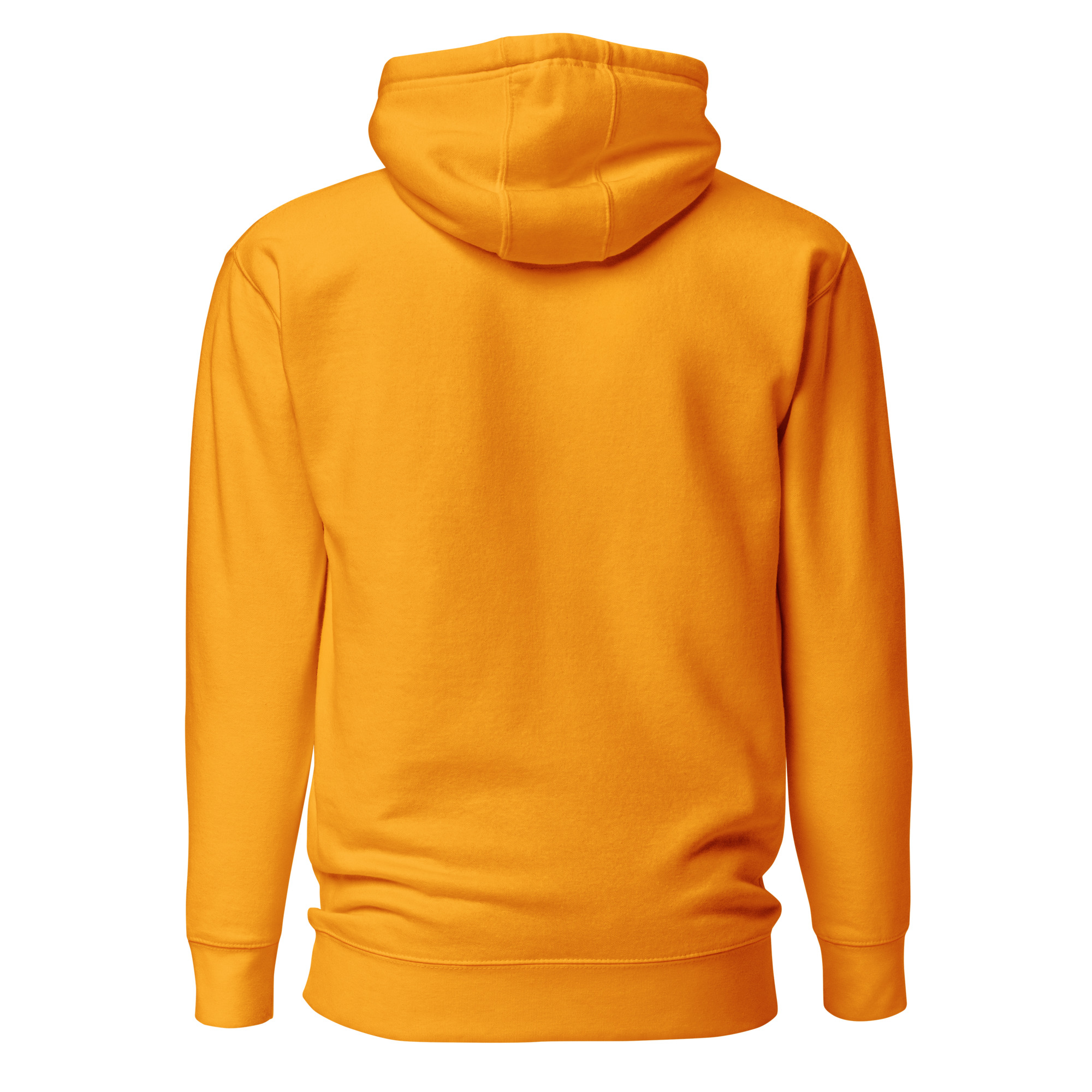 Faith Over Fear Premium Christian Hoodie | Daylight Edition - Image 6