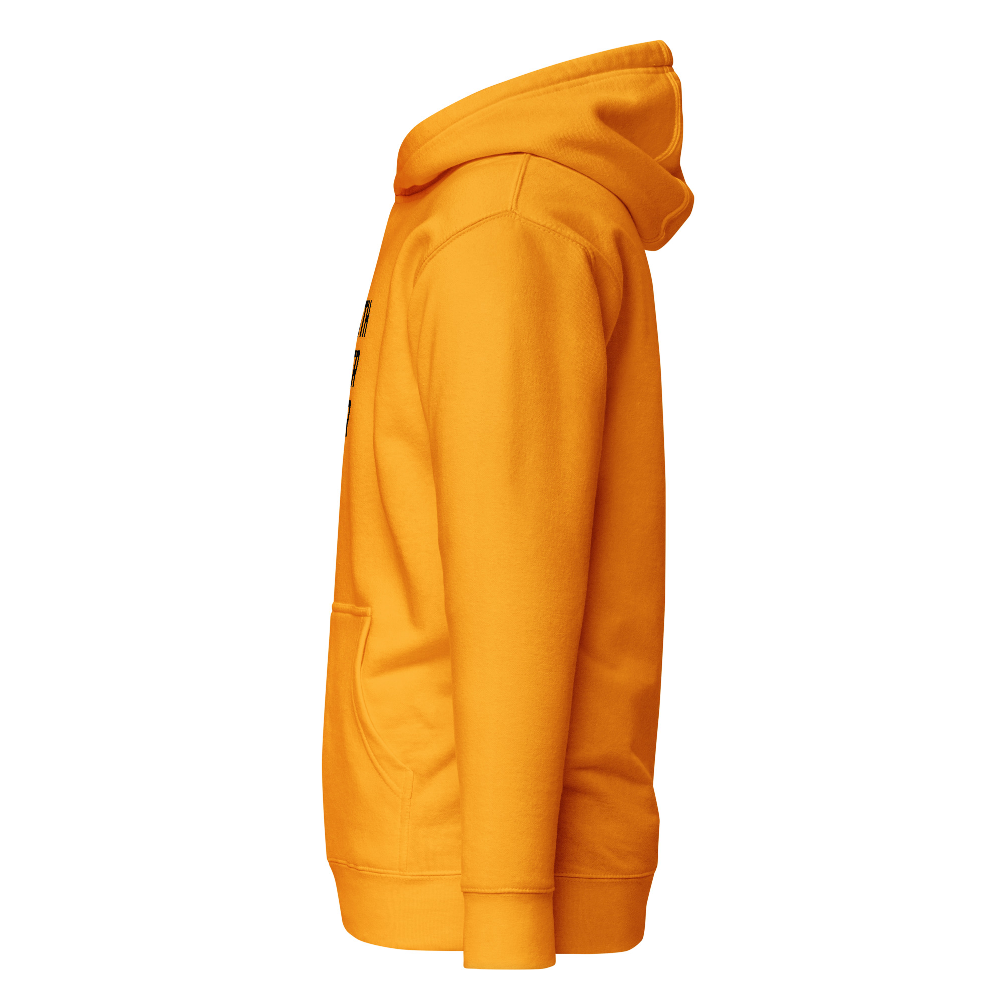 Faith Over Fear Premium Christian Hoodie | Daylight Edition - Image 10