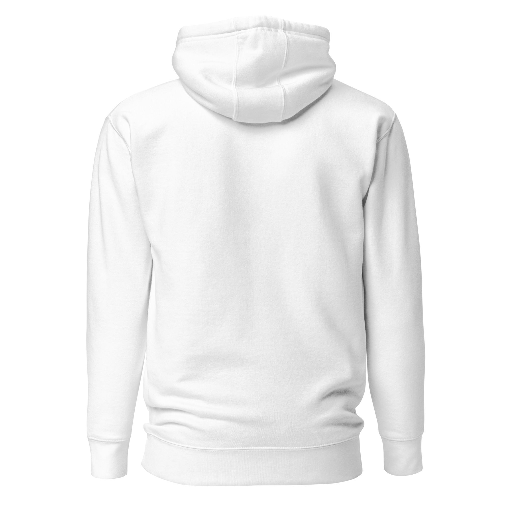 Light in the Darkness Premium Christian Hoodie | Daylight Edition - Image 8